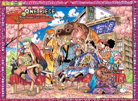 Kuda Nil, رورونوا زورو, Big Mom, Anime D, One Piece Chapter, One Piece Crew, Popular Manga, Comic Manga, Nami One Piece