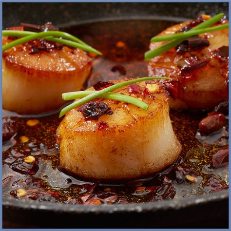 Spicy Thai Chilli Scallops Thai Scallops, Sauteed Salmon, Scallop Recipe, Thai Chilli, Prawn Toast, Citrus Marinade, Gluten Free Chilli, Bbq Seafood, Salmon With Avocado Salsa