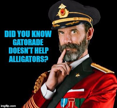 Captain Obvious, Meme Maker, You Dont Say, Student Encouragement, Dad Jokes, Bones Funny, Funny Images, Puns, Dumb And Dumber