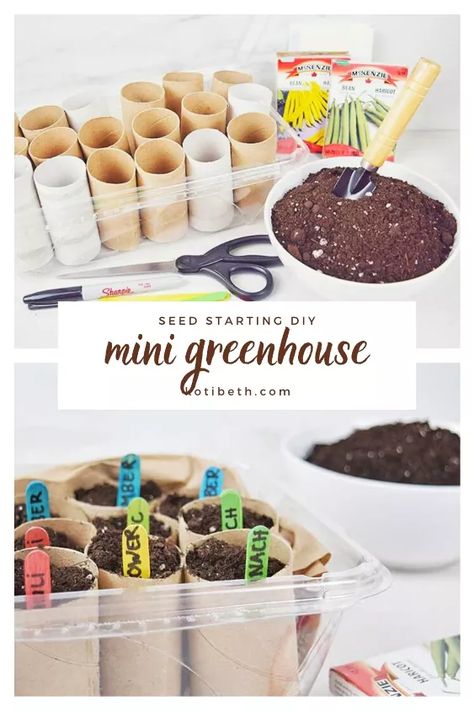 Inside Green House Ideas Diy, Toilet Paper Roll Planter Seed Starting, Diy Inside Greenhouse Ideas, How To Start Seedlings Indoors, Gardening For Kids Activities, Diy Planter Indoor, Upcycled Planters Indoor, Mini Greenhouse Diy, Seed Starting Indoors Diy