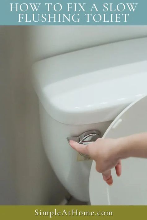 Slow-Flushing Toilets: Simple Solutions to Common Problems • Simple At Home Slow Flushing Toilet, Replace Toilet, Clogged Toilet, Downstairs Toilet, Plumbing Problems, Low Water Pressure, Clogged Drain, Drain Pipe, What To Use