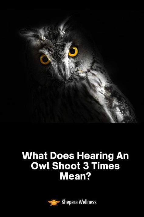 What Does Hearing An Owl Shoot 3 Times Mean? Hearing An Owl Meaning Spiritual, Owl Hooting Meaning Spiritual, Owl Hooting, Bird Meaning, Owl Sounds, Hoot Owl, Native American Artifacts, Spiritual Messages, Wise Owl