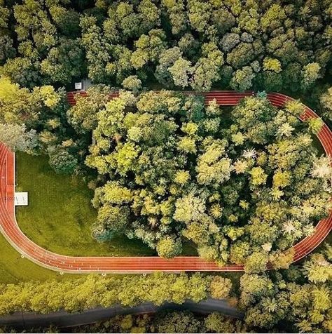 ichael Johnson Track in Beaverton, Oregon also headquarters of #Nike  It's only five lanes but is one of the best looking tracks 😍 . ملعب Jogging Track Design Landscape, London Aquatics Centre, Ancient Olympic Games, Track And Field Events, Running Path, Nike World, Beaverton Oregon, Trening Sztuk Walki, Jogging Track