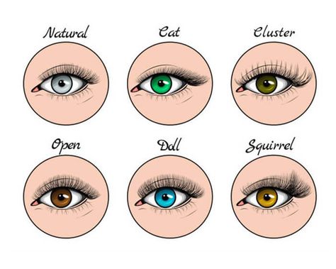 How to Choose the Right False Eyelashes to Suit Your Eye Shape - Yiernuo Lashes Eyelash Shape Chart, Lash Extension Styles Chart, Eyelash Styles Chart, Types Of Lash Extension Styles Cat Eye, Lash Maps For Eye Shapes, Types Of Lash Extension Styles Chart, Lash Styles Chart, Lash Styles For Eye Shapes, Lash Notes