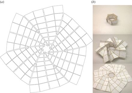 How to fold an airbag Geometric Template, Folding Structure, Origami Boxes, Origami Patterns, Paper Engineering, Folding Origami, Semester 2, Origami Folding, Folding Paper