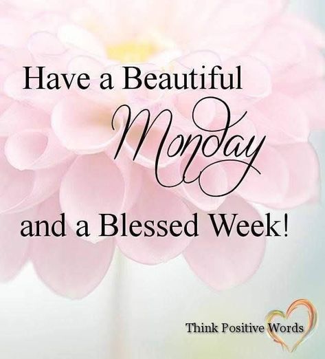 Have A Beautiful Monday Pictures, Photos, and Images for Facebook, Tumblr, Pinterest, and Twitter New Week Quotes, Happy Monday Images, Monday Greetings, Have A Blessed Week, Happy Monday Quotes, Monday Morning Quotes, Good Monday Morning, Beautiful Monday, Blessed Week