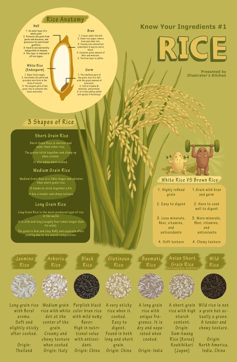 Rice is one of the most important crops in the world.   More than half of the people around the world eat rice.  There are many types of rice and people make various dishes with it.  *Click link for more information and food illustrations! Poster With Information, Food Infographic Poster, Rice Poster Design Ideas, How To Illustration, Rice Poster Design, Rice Infographic, Information Poster Design, Food Infographic Design, Infographic Design Ideas