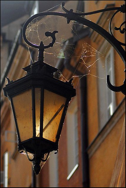 Street Lamp Aesthetic, Wall Lamps Diy, Fancy Lights, Light Pole, Lantern Lamp, Spider Webs, Warsaw Poland, Street Lamp, Urban Sketching