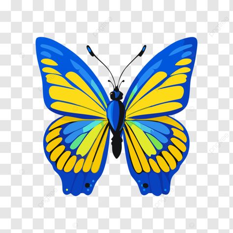 blue yellow vibrant beauty butterfly vector butterfiy colour butterfly butterfly 2d png Colour Butterfly, Butterfly Vector, Butterfly Butterfly, Butterfly Clip Art, Cartoons Png, Yellow Butterfly, Png Transparent Background, Beautiful Butterflies, Free Png