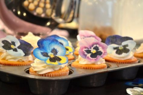 Amazon.com: Edible Pansies - Pink, Purple, and Blue Set of 12 - Cake and Cupcake Toppers, Decoration: Grocery & Gourmet Food Easter Cupcake Recipes, Usa Cake, Cupcakes Flores, Floral Cupcakes, Eat Pretty, Easter Food, Tea Party Food, Decorating Cakes, Picnic Ideas