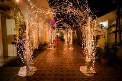 Wedding Tales Fairy Lights Entrance, Entrance Decor Wedding, Wedding Entries, Lights Entrance, Twigs Decor, Event Entrance, Marriage Decoration, Pre Wedding Party, Wedding Design Decoration