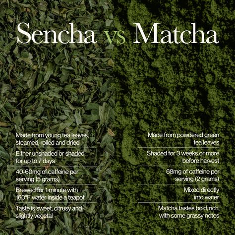 Matcha Flavor Pairing, Matcha Shop, Tea Tips, Tea Corner, Sencha Tea, Green Teas, Caffeine Content, Large Stone, Tea Shop