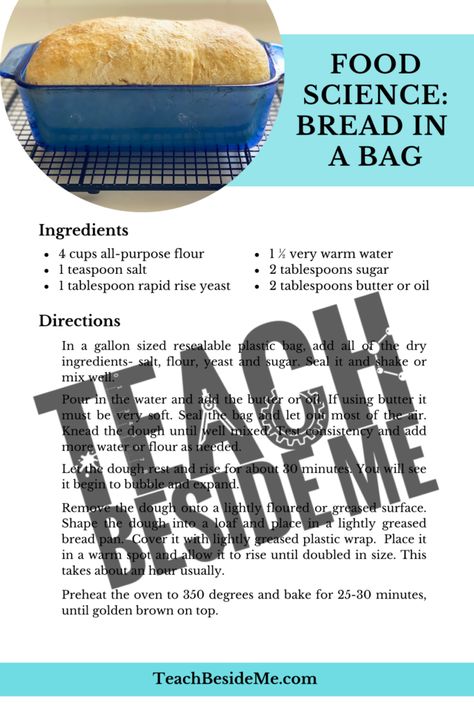 Learn about the science of bread making with this bread in a bag experiment and recipe! Grab a free printable recipe card. #foodscience #bread #breadrecipe #breadinabag #science Bread In A Bag Recipe, Make A Loaf Of Bread, Bread In A Bag, Science Of Baking, Food Science Experiments, Sensory Science, Kitchen Chemistry, Kitchen Science Experiments, Recipe Cards Printable Free