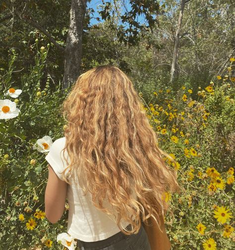 Dirty Blonde Wavy Hair, California Hairstyles, Natural Dirty Blonde, Beach Plants, Blonde Wavy Hair, Blonde Waves, Dirty Blonde, Wavy Hair, Blonde