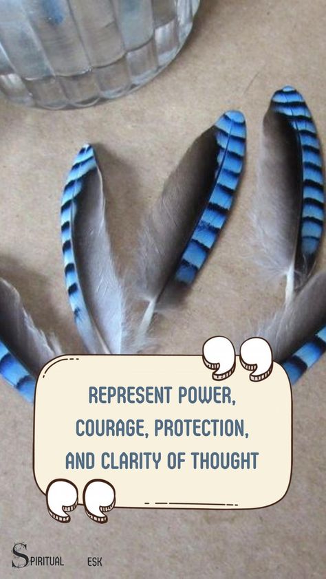 Blue Jays are known for their vibrant plumage, which can symbolize several different spiritual meanings. Specifically, the blue jay feather is thought to represent power, courage, protection, and clarity of thought. #represent #known #thought #protection #courage #power #feathers #meaning Feather Spiritual Meaning, Blue Jay Meaning, Black Feather Meaning, Feather Magic, Finding Feathers, Native American Folklore, Blue Jay Feather, Native American Mythology, Scrub Jay