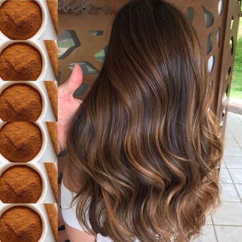 Old Money Hair Color Brunette, Old Money Brunette Hair, Old Money Brunette, Balayage Hair Caramel, Pelo Cafe, Baby Lights, Brunette Balayage, Chocolate Hair, Hairstyle Inspo