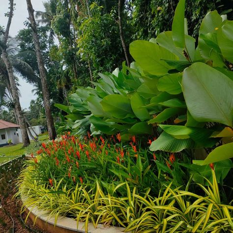 Designs by Gardening & Landscaping Urban Portico, Ernakulam | Kolo Commercial Building Landscape Design, Kerala Landscape Design, Kerala Landscape, Storage Furniture Design, Tropical Garden Design, Gardening Landscaping, Main Door Design, Tropical Landscaping, Roof Design