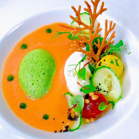 Gazpacho Fine Dining, Gazpacho Plating, Parmesan Tuile, Soup Presentation, Cilantro Oil, Gastronomic Food, Fine Dining Plating, Tomato Gazpacho, Heirloom Tomato Salad