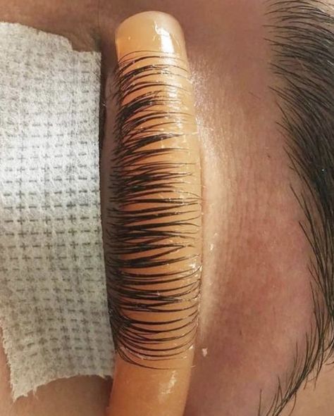 Eyelash Perm Before And After, Lash Perm Before And After, Permed Eyelashes, How To Curl Eyelashes, Eyelash Perm And Tint, Long Natural Eyelashes, 2024 Prep, Perm Eyelashes, Long Lashes Natural