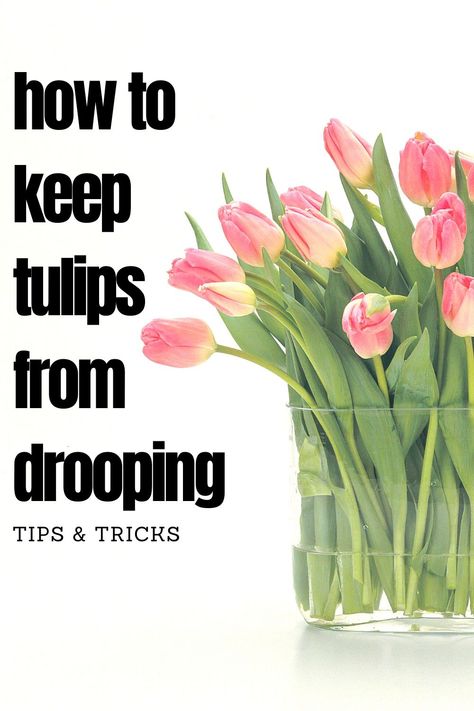 Tulips Floral Arrangements, Tulip Vases Arrangement, Tulip Care Indoor, Tulip Arrangements Ideas, Tulip Bouquets Arrangement, Short Floral Arrangements, Centerpieces For Luncheon, Decorating With Tulips, Tulip Tablescape