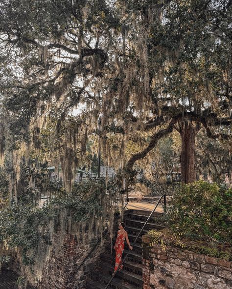 5 Savannah’s Most Instagrammable Places! From cobblestone streets to colorful squares, Savannah is a photographer’s dream! Here are few spots that should not be missed if you are looking for the perfect photo opportunity! 📍 Wormsloe State Historic Site 📍 The Gingerbread House 📍 Madison Square 📍 River Street Access (by Cafe M) 📍 Jones Street #savannah #visitsavannah #savannahga #savannahgeorgia #downtownsavannah #historicsavannah Savannah Georgia Couples Trip, River Street Inn Savannah Georgia, Savannah Georgia River Street, Savannah Georgia Aesthetic, Historic Savannah, Visit Savannah, Downtown Savannah, Photo Opportunity, Most Instagrammable Places