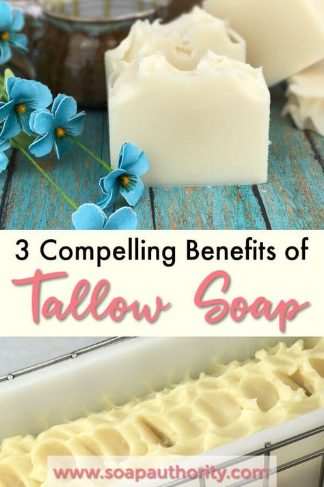 3 Compelling Reasons to Try Tallow Soap Making – Soap Authority Hot Process Tallow Soap Recipes, Tallow Soap Recipe, Cold Press Soap Recipes, Shea Butter Soap Recipe, Tallow Recipe, Anti Vegan, Soap Business, Diy Soap Bars, Tallow Soap