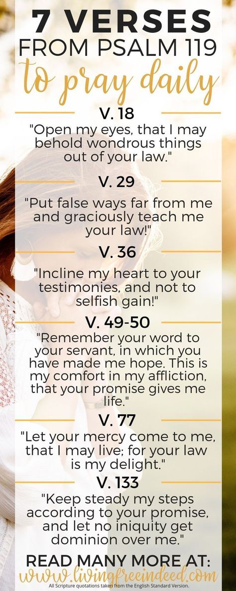 Verses to Pray to Grow Your Love for God's Word - Free Indeed | Praying the Bible | Psalm 119 Verses | How to Pray Scripture | What to Pray | Prayers from the Bible Pray Scripture, Verses To Pray, Pray Daily, Bible Psalms, Free Indeed, How To Pray, Quotes Bible, Word Free, Psalm 119