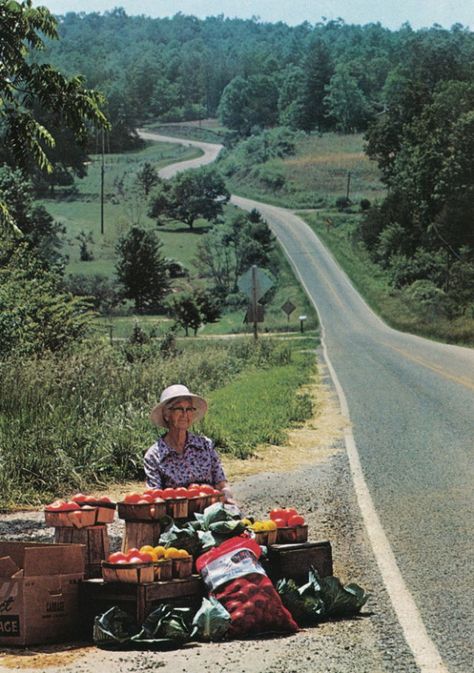 Northern Georgia, Vegetable Stand, Farm Stand, Down On The Farm, Back Road, On The Road Again, Rural Life, Country Farm, Down South