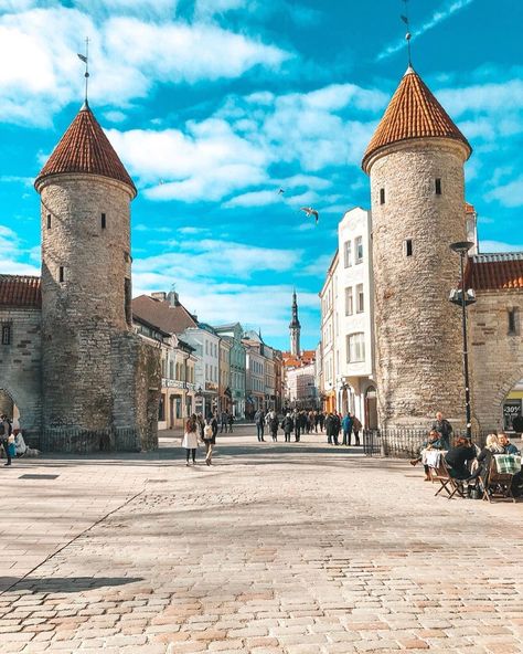 Tallinn Old Town, Estonia Tallinn, Live Drawing, Eastern Europe Travel, Mural Ideas, Beautiful Cities, Tallinn, Best Places To Travel, Eastern Europe