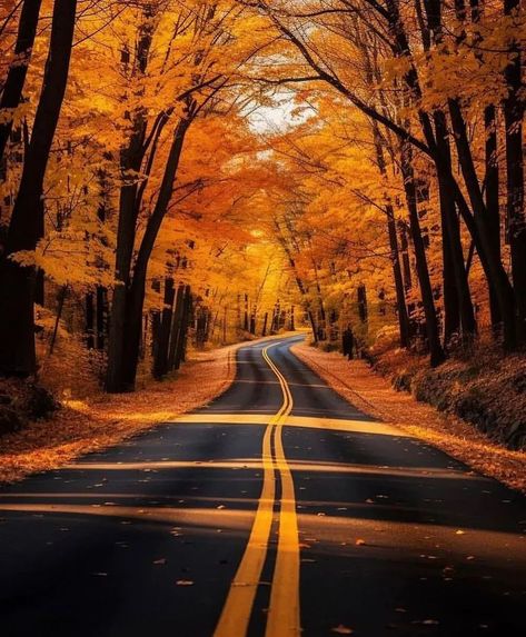 🥂 Tag someone who needs to see this.🎃 Turn on the post notifications ✅ Follow @sunofhalloween for more! 📸 : @kieljamespatrick ✅ Please… | Instagram New England Fall, Nature Scenery, Forest Road, Moon Photography, Autumn Nature, Fall Pictures, Beautiful Places In The World, Fall Wallpaper, Fall Photos