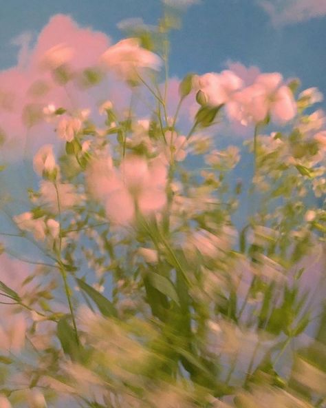 Spring Aesthetic Illustration, Pink Spring Aesthetic, Hazy Aesthetic, Spring Aesthetic, Art Plastique, Aesthetic Photo, Pretty Flowers, Pretty Pictures, Aesthetic Pictures