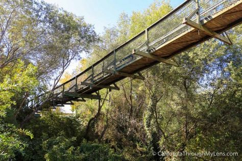 Pismo Beach Camping, Arroyo Grande California, Pismo Beach California, Swinging Bridge, Camping Summer, Keeping Busy, California Camping, Beach Weekend, Camping Photography