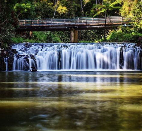 The Atherton Tablelands is a great place to base yourself for at least a night because there is so much to do here. There is a map of the highlights at the end of the blog. Atherton Tablelands, Places In Australia, Cairns Australia, Jungle Forest, Swimming Hole, Instagram Names, Fever Dream, North Queensland, To My Friends