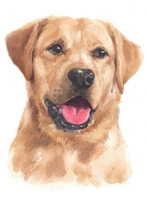 Watercolor Dogs, Labrador Art, Yellow Labrador Retriever, Handmade Dog Collars, Labrador Retriever Dog, Watercolor Dog, Dog Illustration, Arte Animal, Dog Drawing