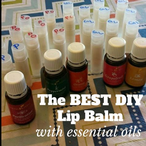 Essential Oil Lip Balm, Homemade Lip Balm Recipe, Diy Lip Balm Recipes, Chapstick Lip Balm, Lip Balm Recipes, Homemade Lip Balm, Diy Essentials, Essential Oils Gifts, Yl Essential Oils