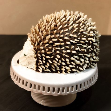 Animal Shaped Cakes, Hedgehog Birthday Cake, Hedgehog Cake Ideas, Porcupine Cake, Hedgehog Cake, Christmas Dessert Table, Martha Washington, Hedgehog Birthday, Pastel Cupcakes