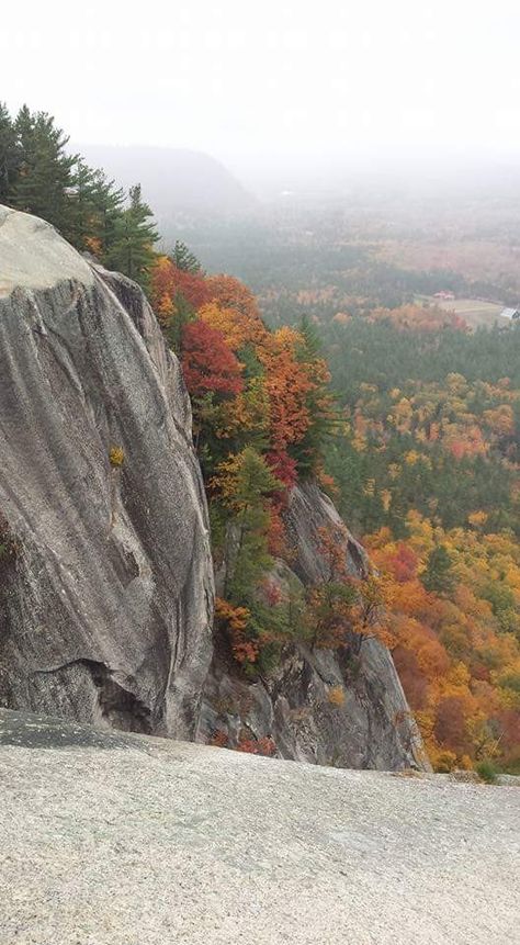 Cathedral Ledge, North Conway NH North Conway Nh, North Conway, Half Dome, Natural Landmarks, Travel, Quick Saves, Nature