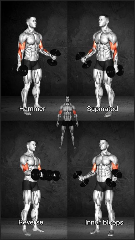 Hammer Workout, Biceps Aesthetic, Dumbbell Bicep Workout, Full Arm Workout, Arm Workout Men, Dumbbell Arm Workout, Bicep And Tricep Workout, Workout Gym Routine, Forearm Workout