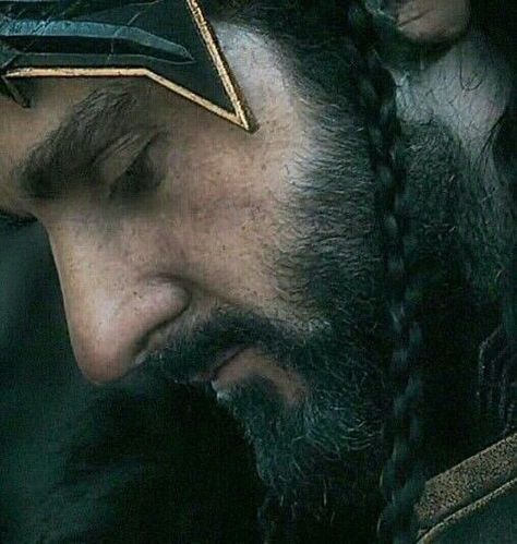 Wonderful Thursday, Hobbit Cosplay, The Misty Mountains Cold, Fili And Kili, Hobbit Art, Into The West, Bilbo Baggins, Thorin Oakenshield, One More Day