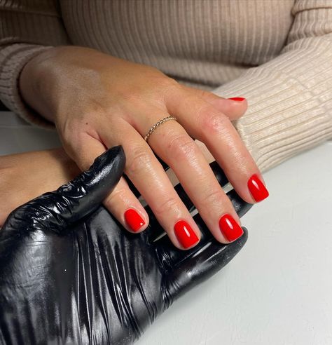 Chilli red all year rounddddd 🌶️ ❤️ @the_gelbottle_inc iconic #nails #rednails #red #shortnails #squarenails #chilli #nailinspo #nailideas Iconic Nails, July 25, Nail Technician, Square Nails, Red Nails, Short Nails, Nail Inspo, Nails, Red