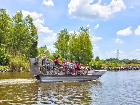 New Orleans Bayou, Louisiana Swamp, Swamp Tours, New Orleans Vacation, Louisiana Bayou, New Orleans Travel, Wild Adventures, Travel Bucket List, Spring Break