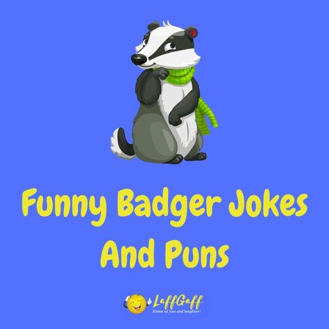 We've been badgered long enough to bring you some more animal jokes, so here's a great sett of funny badger jokes and puns! Read more now ... Honey Badger Humor, Teacher Puns, Jokes And Puns, Bear Tracks, Wild Hog, Go To The Cinema, Driving Instructor, Honey Badger, Exotic Animals