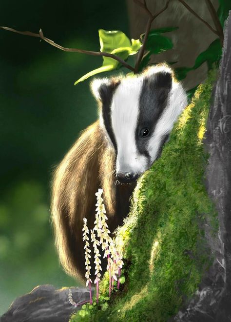 ArtStation - Sunlit Badger, Abigail Lee Badger Aesthetic, Badger Images, Badger Art, Garden Witch, Lantern Art, Clouded Leopard, Honey Badger, Community Garden, Tree Roots