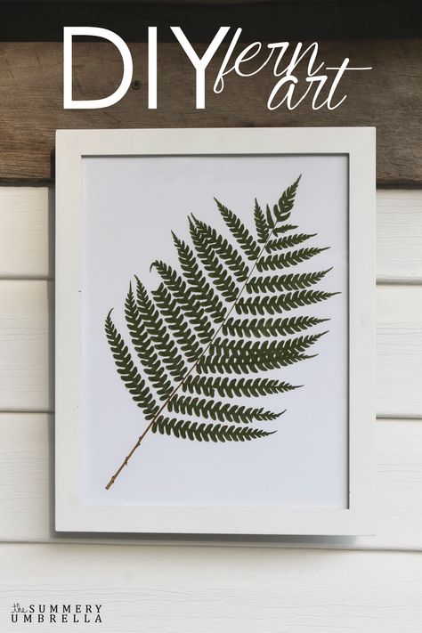 Create a beautiful piece of work with this super, simple DIY Fern Art tutorial. All you need is a few basic materials! Diy Fern Wall Art, Nature Wall Art Diy, Botanical Crafts, Tropical Velvet, Fern Wall, Fern Art, Fern Wall Art, Botanical Frame, Acrylic Flower Painting