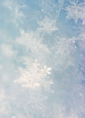 Romeo I Julia, Xmas Wallpaper, Pastel Grunge, Color Vibe, Blue Snowflakes, New Backgrounds, Icy Blue, Winter Blues, Winter Aesthetic