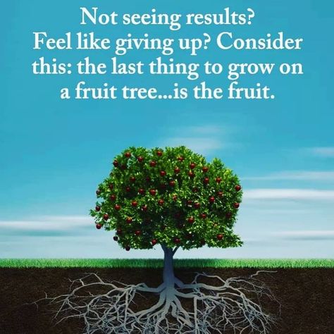 Sometimes it takes years for a tree to bear fruit successfully. It takes time for the roots to develop and dig deep.  #rootsconnector #dontgiveupjustyet #digdeep #roots #fruitofthetree #bearfruit #figureitin #empowermentmodel #r2c #waitforit Early Quotes, Break Bad Habits, Feel Like Giving Up, Power Of Positivity, The Fruit, Life Advice, A Quote, Fruit Trees, Food For Thought