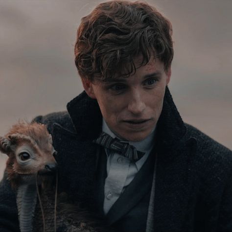 Newt Scamander Icon, Newt Scamander Aesthetic, Horse Creature, Secrets Of Dumbledore, Fantasic Beasts, World Icon, Newt Scamander, Animal Icon, Eddie Redmayne