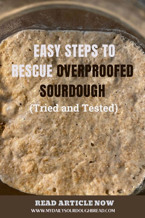 How To Proof Sourdough Bread, Over Fermented Sourdough, How To Make Sourdough Leaven, Overproofed Vs Underproofed Sourdough, What To Do With Overproofed Sourdough, Over Proofed Sourdough Focaccia, Cold Proofing Sourdough, Overproofed Sourdough Focaccia, Over Proofed Sourdough