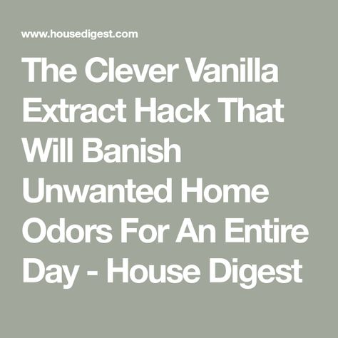 The Clever Vanilla Extract Hack That Will Banish Unwanted Home Odors For An Entire Day - House Digest Fridge Smells, Seafood Lunch, Vanilla Smell, House Smell Good, House Smell, Homemade Vanilla, Small Bottles, House Smells, Food Store