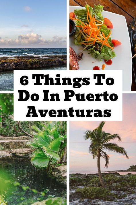 🌴 Get ready to explore Puerto Aventuras, the ultimate tropical playground! From thrilling adventure parks to relaxing beach clubs, we've got the top 6 activities you can't miss while visiting. Dive in and create unforgettable memories! 🌊 Click Pin for Complete Guide! Tropical Playground, Adventure Parks, Swim With Dolphins, Cancun Airport, Relaxing Beach, Beach Clubs, Atv Tour, Visit Mexico, Time Of Your Life